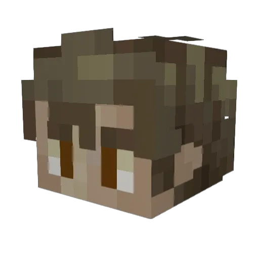 1mNotHere Minecraft avatar head, 3D render