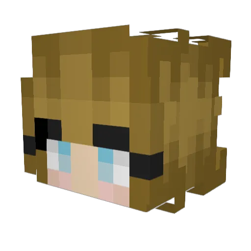 1mNotRachel Minecraft avatar head, 3D render