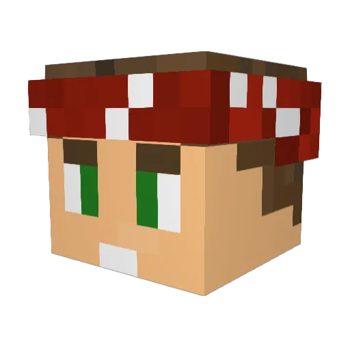 1madison1 Minecraft avatar head, 3D render
