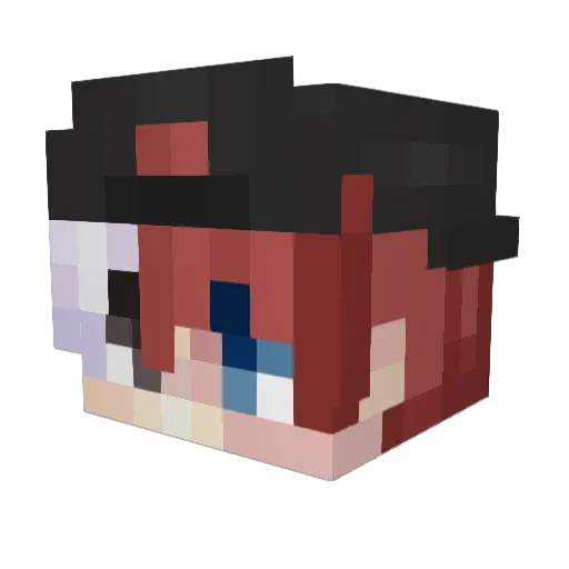 1mal1 Minecraft avatar head, 3D render