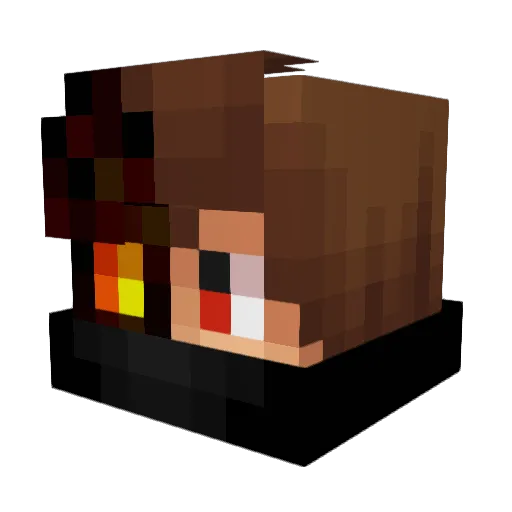 1mapache Minecraft avatar head, 3D render