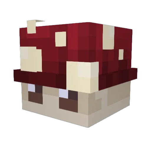 1monamour Minecraft avatar head, 3D render