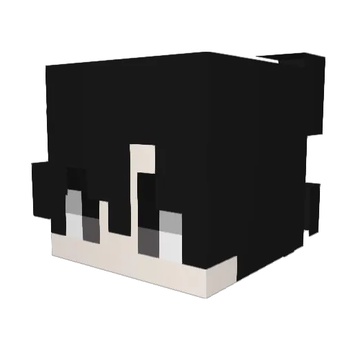 1n8888 Minecraft avatar head, 3D render