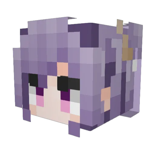 1nSn0w Minecraft avatar head, 3D render