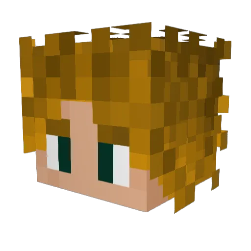 1nfa_ Minecraft avatar head, 3D render