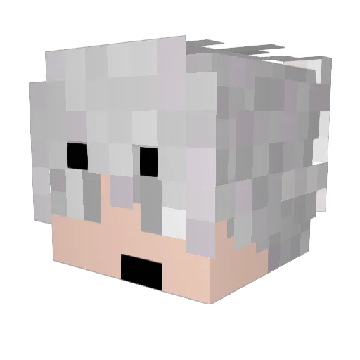 1noc Minecraft avatar head, 3D render