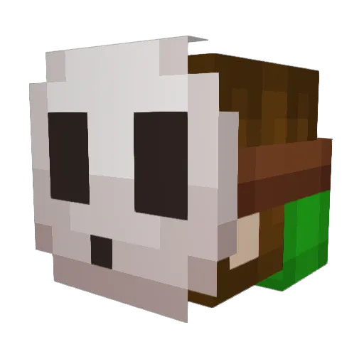 1nsanezane Minecraft avatar head, 3D render