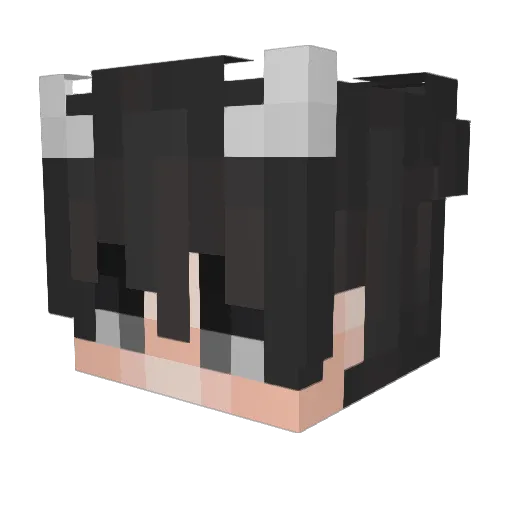 1nst1nct2 Minecraft avatar head, 3D render