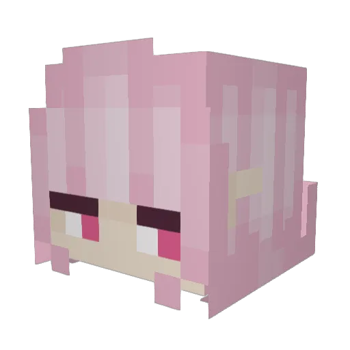 1nui0 Minecraft avatar head, 3D render