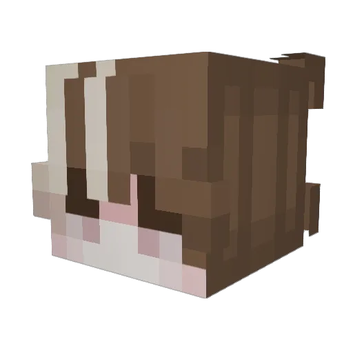1nul Minecraft avatar head, 3D render