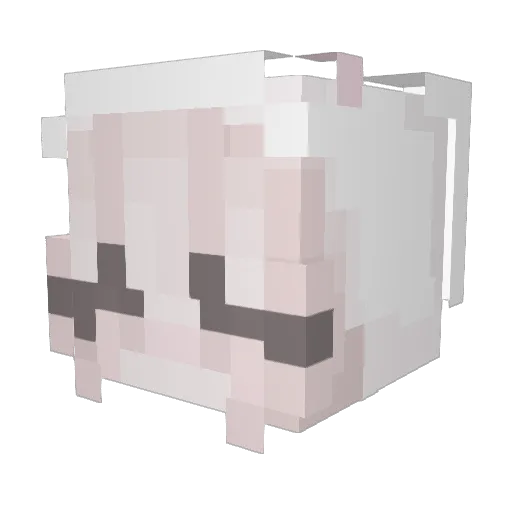 1ove4eva Minecraft avatar head, 3D render