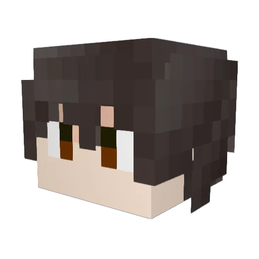 1peng2 Minecraft avatar head, 3D render