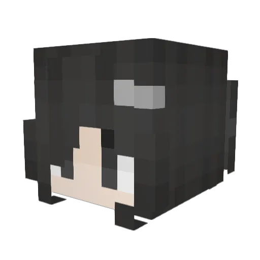 1poland Minecraft avatar head, 3D render