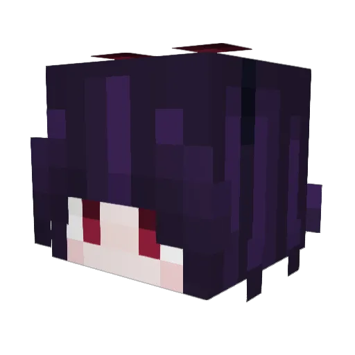 1r0ny41 Minecraft avatar head, 3D render