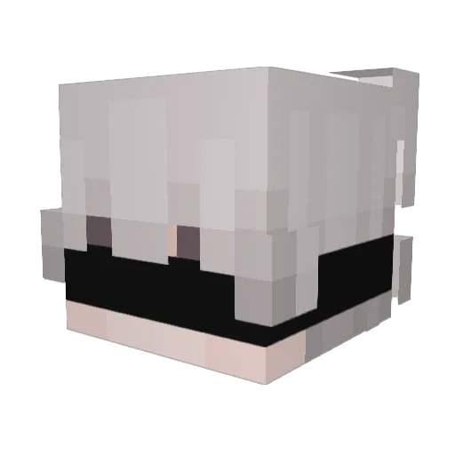 1rehpotsirc Minecraft avatar head, 3D render