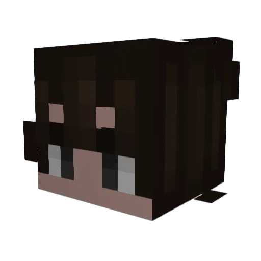 1ry0 Minecraft avatar head, 3D render