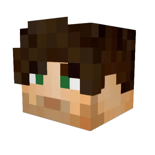 1seeqwe Minecraft avatar head, 3D render
