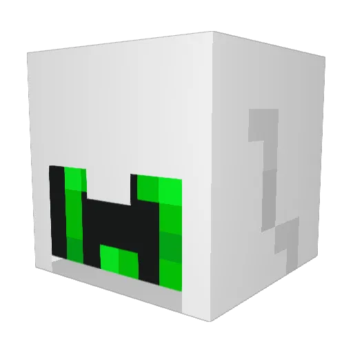 1slimjim Minecraft avatar head, 3D render