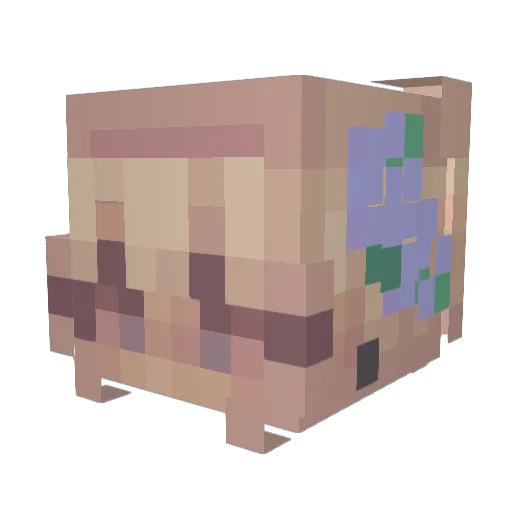 1sneakycat Minecraft avatar head, 3D render