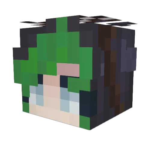 1sofe Minecraft avatar head, 3D render