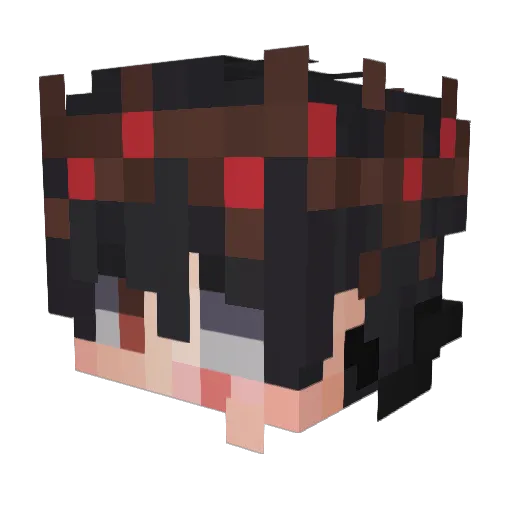 1soup2soup Minecraft avatar head, 3D render