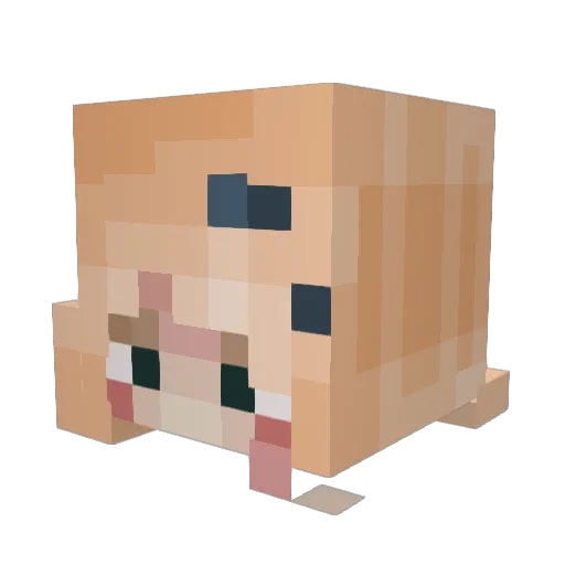 1spela Minecraft avatar head, 3D render