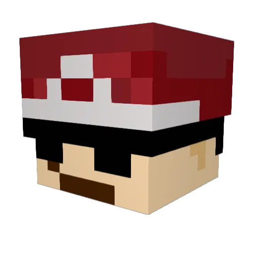 1stParty_Indiot Minecraft avatar head, 3D render