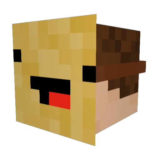 1stT00tertot Minecraft avatar head, 3D render