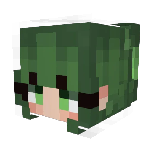 1stmts Minecraft avatar head, 3D render