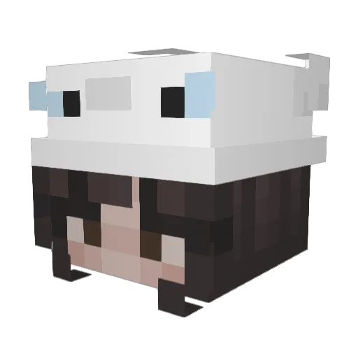 1sushiroll1 Minecraft avatar head, 3D render