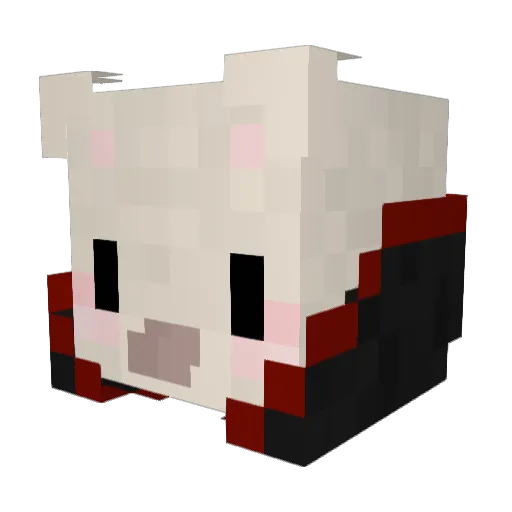 1tsMooni Minecraft avatar head, 3D render
