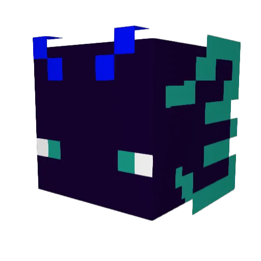 1tsRaiah Minecraft avatar head, 3D render