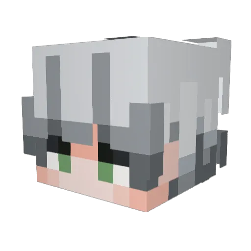 1tsWise Minecraft avatar head, 3D render