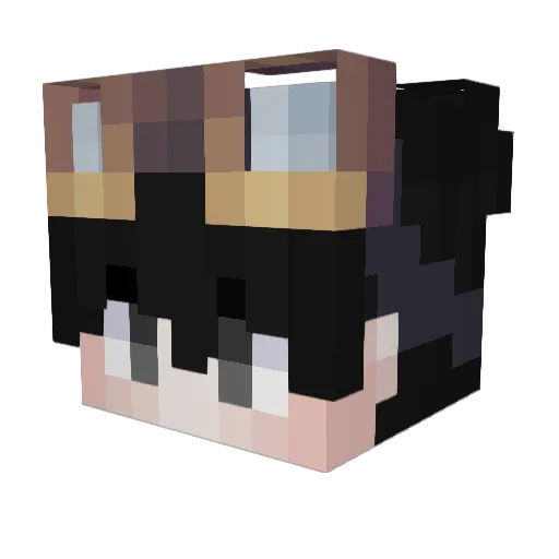 1tsrow Minecraft avatar head, 3D render