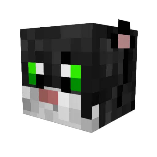 1tzGoFly1337 Minecraft avatar head, 3D render