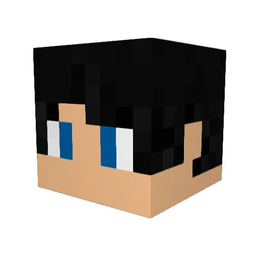 1usc Minecraft avatar head, 3D render