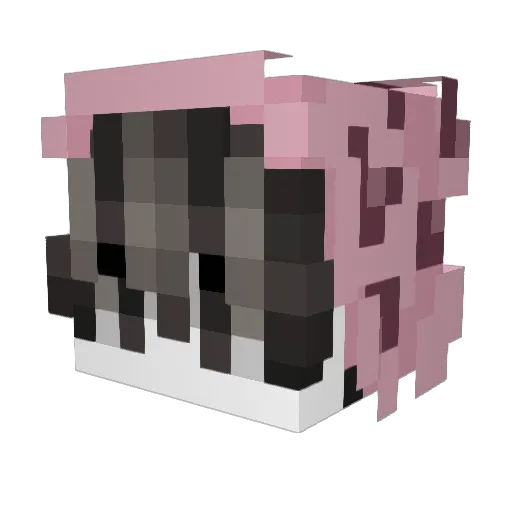 1v1roomowner Minecraft avatar head, 3D render
