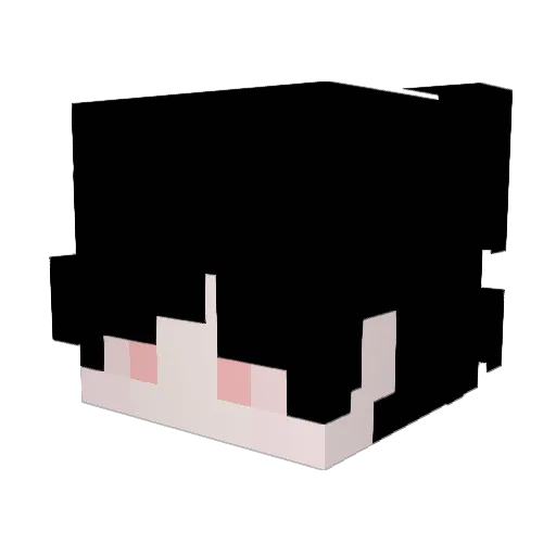 1wor Minecraft avatar head, 3D render