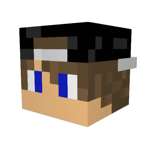 1xRainbowDashx1 Minecraft avatar head, 3D render