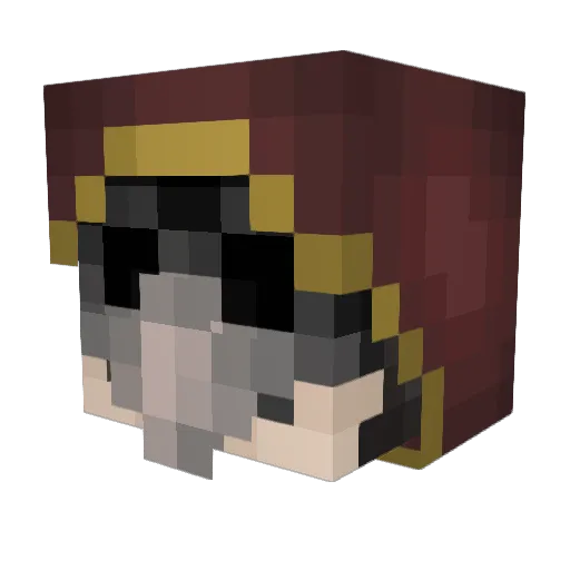 1yearexpired Minecraft avatar head, 3D render