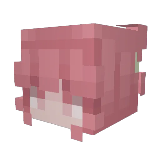 1zinv Minecraft avatar head, 3D render