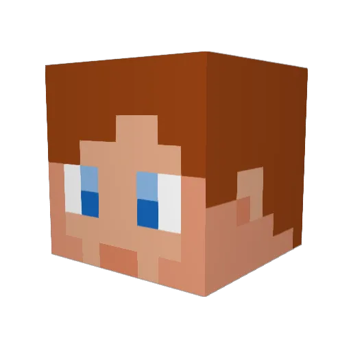 2000wires Minecraft avatar head, 3D render
