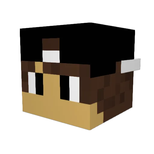 2001pim Minecraft avatar head, 3D render