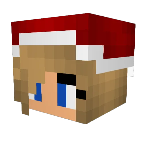2001sommer Minecraft avatar head, 3D render