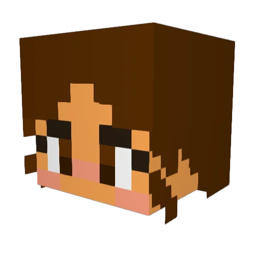 Minecraft-Avatar von 2003SASSA: Kopf als 3D-Render