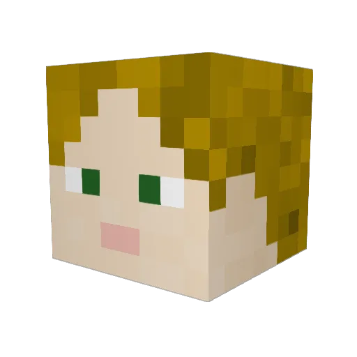 2003cah Minecraft avatar head, 3D render