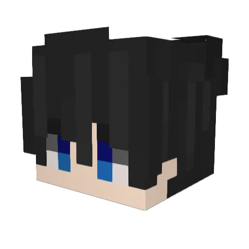 20046125 Minecraft avatar head, 3D render