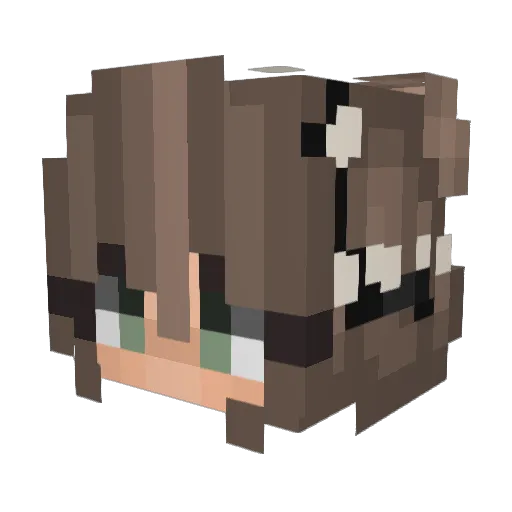 2004pandaCute Minecraft avatar head, 3D render