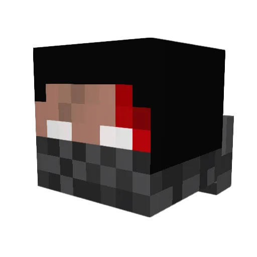 2004pls Minecraft avatar head, 3D render
