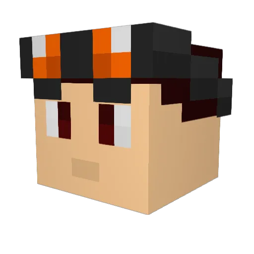 2005DGTBRO Minecraft avatar head, 3D render